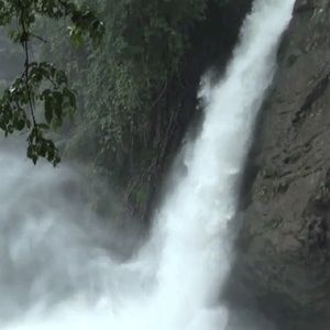 Meet your Posher, Charisse